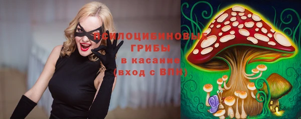 PSILOCYBIN Абинск