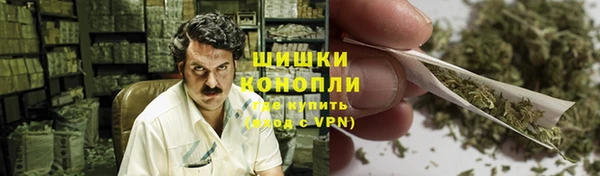 стаф Абаза