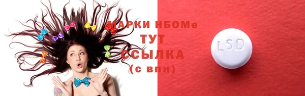 стаф Абаза