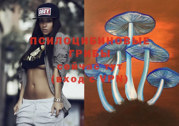 соль ск Абдулино