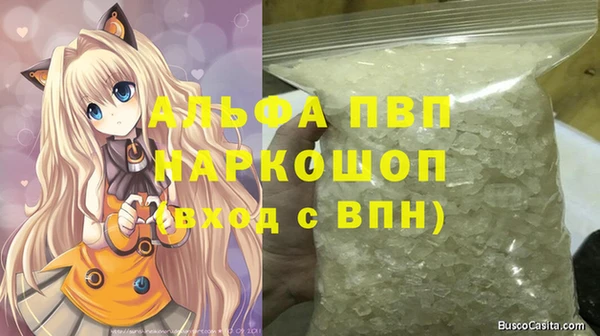 стаф Абаза