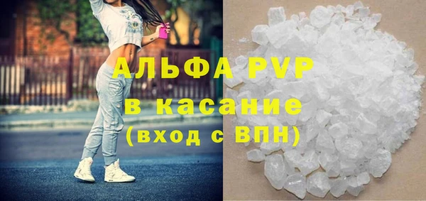 стаф Абаза