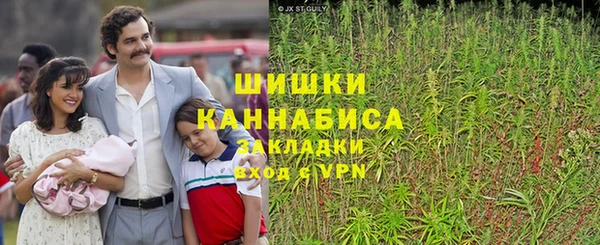 стаф Абаза