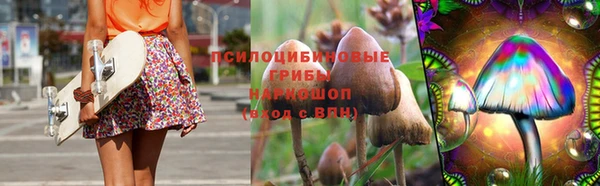 стаф Абаза